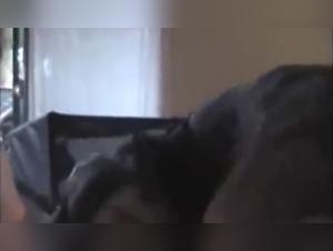 Bestiality video: a woman and her dog