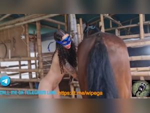 Des Chevaux avec de Gros Pénis et des Femmes qui Prendront leur Pied