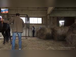 Zoophilia Video: A Forbidden Love Story