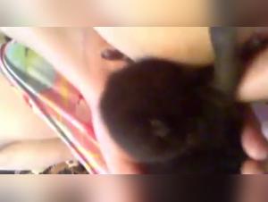 Dirtydoglinks: Delving into the Explicit