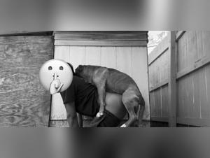 Zootubes: Where Secrets Dwell