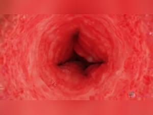 Dessins animés pour adultes : zoophilie et bestialité