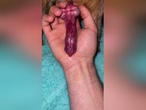 Watch a woman get cum from a dog in this bestiality video