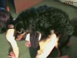 Extreme fun times with dogs