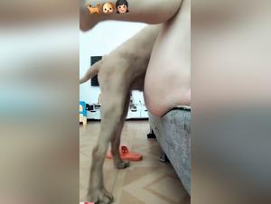 French zoophilia porn, sluts and cats porn