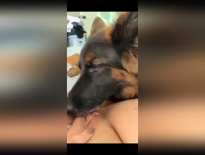 Bestiality sex video: dog and mistress in an intense scene