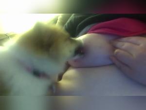 Experience the Thrill of Bestiality