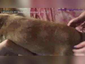 Schiava del piacere canino, Kadys rivela le sue fantasie piu sfrenate