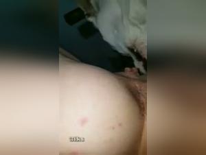 Watch this extreme zoophilia video with a teenage girl and a dog