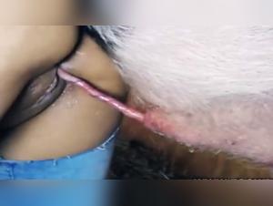 Wild Orgy with the Dog of Zoo Skool