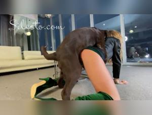 A Zoophilia and Bestiality Video Not to Be Missed