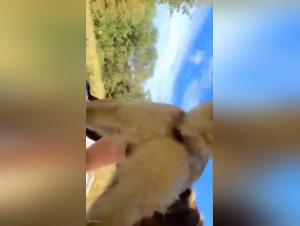 Shocking sex scene with a dog