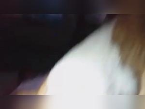 Feticci sadomaso rivelati: Scopata con cane, dissolutezza brasiliana hardcore