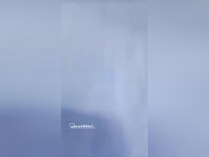 Hard and Extreme Bestiality Sex Scenes