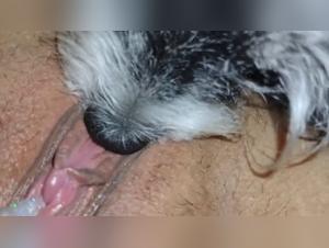 Hard and extreme zoophilia scene with a dog
