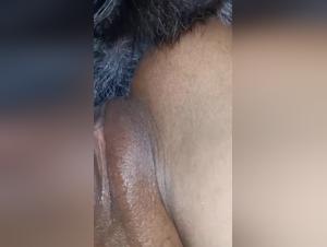 Dog sex video: amateur woman offers her pussy to a dog