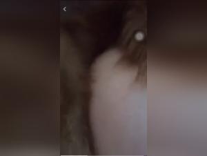 Part 1: Female Domination and Animal Submission