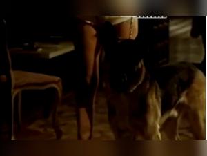 Explore the Limits of Ecstasy in this Dog Sex Video