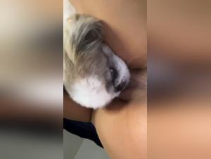 animal erotic experience