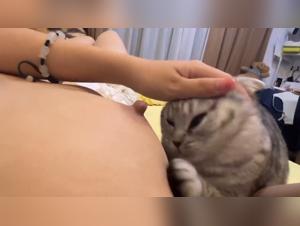 Decodificare il Significato