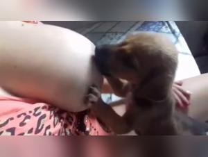 Porndog Boundaries, Ethical Dilemmas