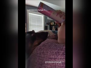 Fetichismo Canino esasperato