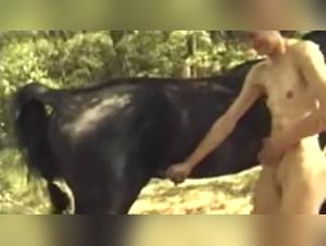 Les chiens et la chatte poni se misent a pisser