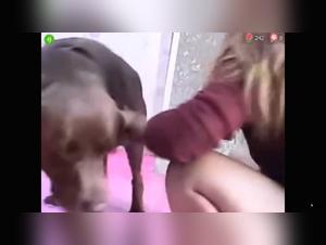 Monster des Instinkts, das Biest und die Dame