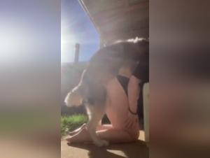 Bestiality sex video with a dog: a hard scene not to be missed