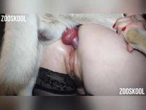 Hardcore Zoophilic Videos - Dog Sex and Human Lust