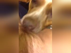 The art of bestiality: a unique experience