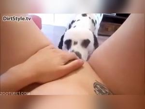 An Extreme and Bestial Experience