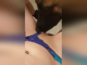 Dog sex videos: an extreme experience