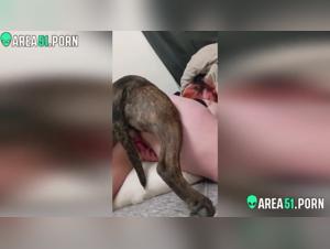 Bestiality sex video: dog and woman