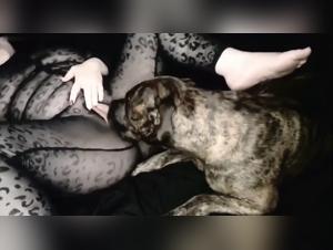 Hundedominanz: Ein Delirium aus Sperma und Gewalt