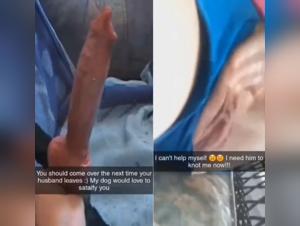 Extreme dog sex video