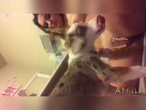 Sex video with dog: a scene of extreme zoophilia
