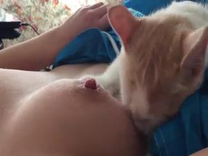 Shocking video of bestiality: discover what is forbidden