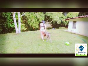 The dog Fucking his Dog and the female star sucking him too