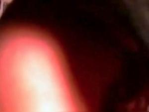 Discover the World of Bestiality and Zoophilia