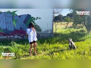 Orgie fetide, fa schifo e divertimento con gli animali