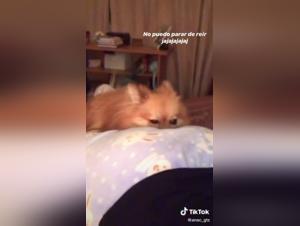 Bestial Video: An Extreme Experience