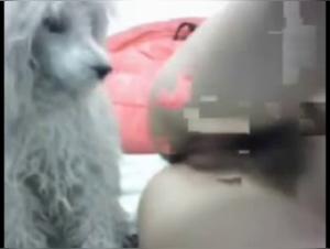 Asian Zoophilia Video - Don't Miss It!