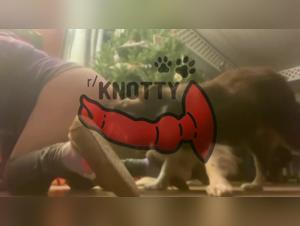 The Lesbian Slut Loves Doggy Style with Passion and Pleasure