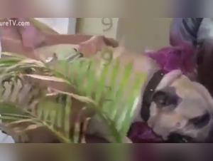 Exclusive Content: Step into the Unknown