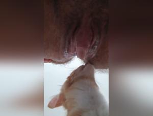 Hardcore-Tiersex: Hunde- und Trans-Dominanz