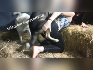 Esplorazione di desideri selvaggi, cani e corpo unito