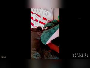 Explore the Limits of the Extreme with Our Latest Video