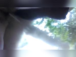 Bestiality sex video with dog