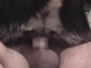 Scopri il desiderio oscuro: donne, animali e violenza sessuale estrema